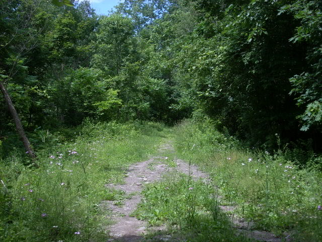 DSCN4476-1.jpg