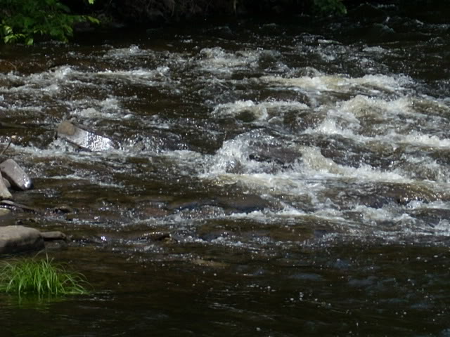 DSCN4486-1.jpg