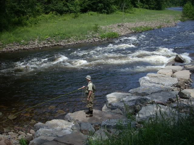 DSCN4490-1.jpg