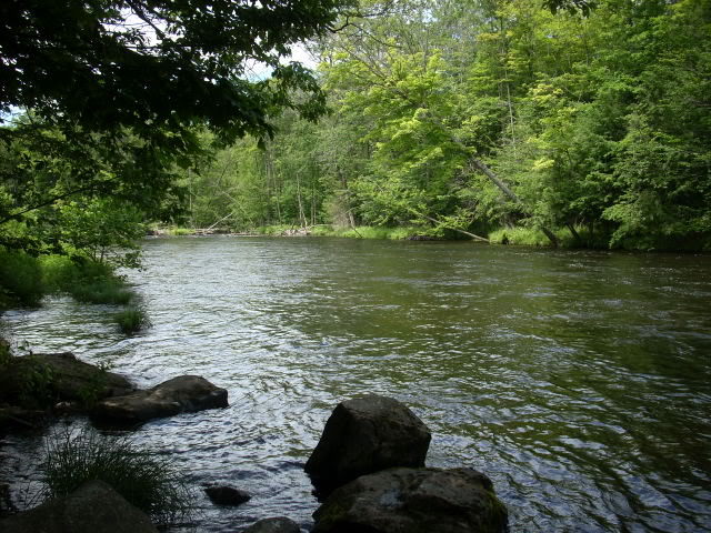 DSCN4507-1.jpg