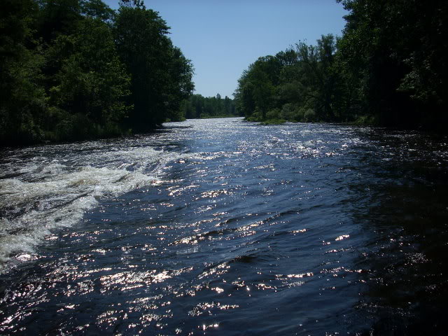 DSCN4619-1.jpg