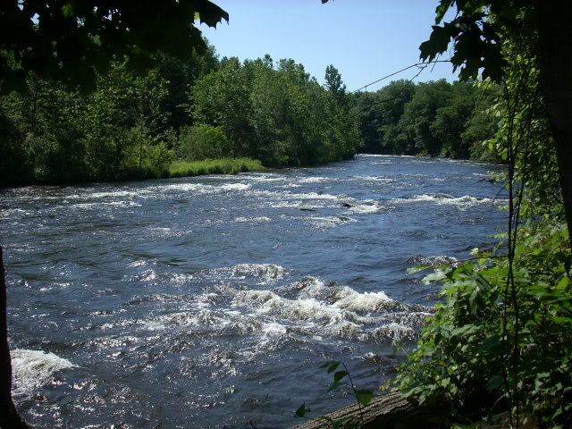 DSCN4632-1.jpg