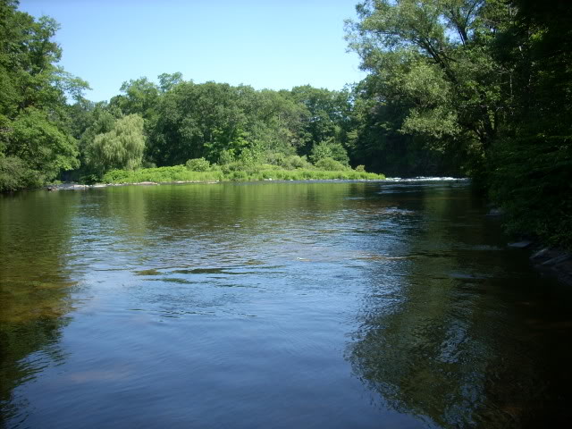 DSCN4662-1.jpg