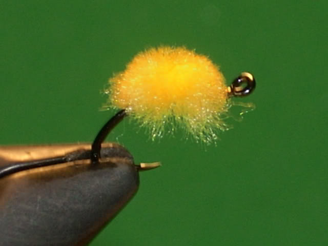IsthisbetterDSCN55031-1.jpg