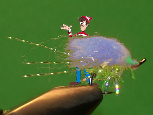 Waldoandfly-1.jpg