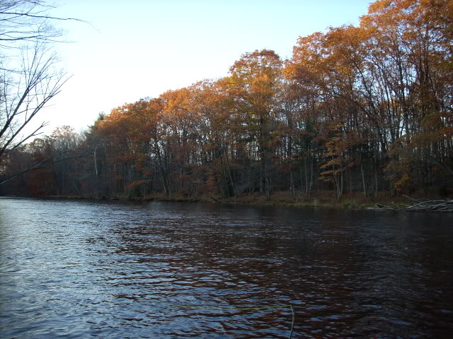 DSCN19512-1.jpg