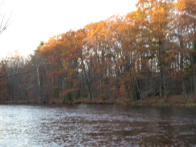 DSCN1953-1.jpg