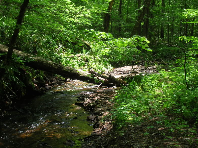 DSCN5566-1.jpg