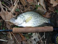reduced crappie2.JPG