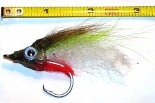 sunfish2.JPG