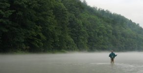 IMG_4132.JPG