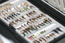flybox2.jpg