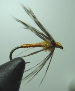 Orange Soft Hackle kompressed.JPG