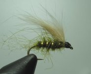 Green Caddis Wet kompressed.JPG