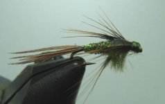 Green PT kompressed.JPG
