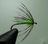 Green Soft Hackle kompressed.JPG