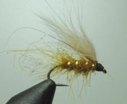 Orange Caddis Wet kompressed.JPG