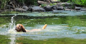 DSC_2863-chillin.jpg