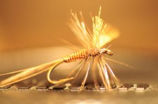 DSC_6308 - 60Micro.jpg