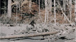 bigfoot-roger-patterson-1_h.jpg