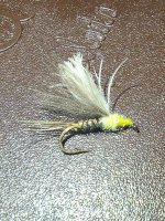 20240129_160636~3.jpg