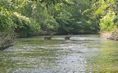 20240824_100658.jpg 20240824_100658.jpg