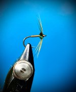 IMG_0671.jpeg