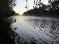 IMG_2943.JPG