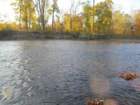 IMG_2947.JPG