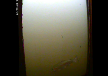 vlcsnap-2014-06-26-16h59m07s97.png