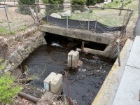 culvert top going into Park.jpg