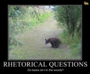 bear in the woods.jpg