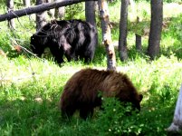 DSCN0671.jpg