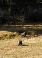 DSCN0331.jpg