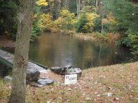 Pictures 003.jpg
