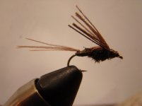 NEFF 2010.2 026.jpg