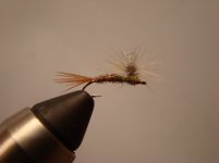 NEFF 2010.2 031.jpg