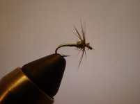 NEFF 2010.2 035.jpg