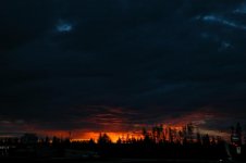 DSC_8632.jpg