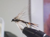soft hackle 002.jpg