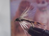 soft hackle 003.jpg