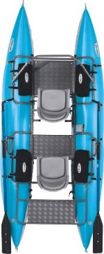 fish-cat-13-top-view.jpg fish-cat-13-top-view.jpg