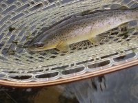 P4110049.jpg P4110049.jpg