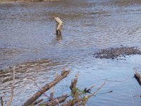 P4120056.jpg P4120056.jpg