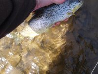 P4130059.jpg P4130059.jpg