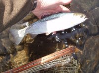 P4130060.jpg P4130060.jpg