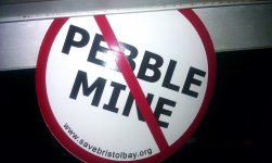 pebble mine.jpg