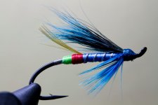 Blue.jpg