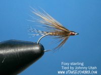 The Foxy Starling - A hair wing wet fly