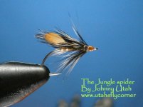 Utah's Jungle Spider